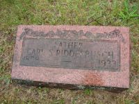 Bild: ridderbusch05carlheadstone.jpg